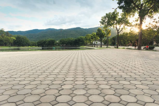 Best Best Driveway Pavers  in Wilmington Island, GA